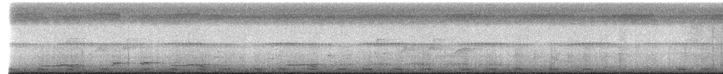 Langschwanz-Nachtschwalbe - ML618055381