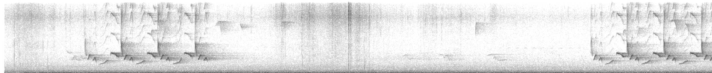 Поплітник каролінський - ML618055984