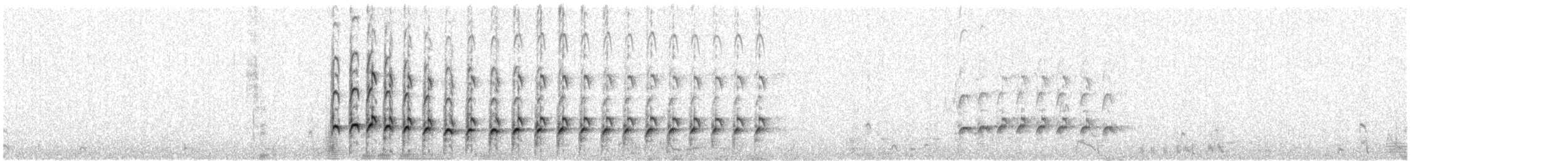 Regenbrachvogel (hudsonicus) - ML618056196