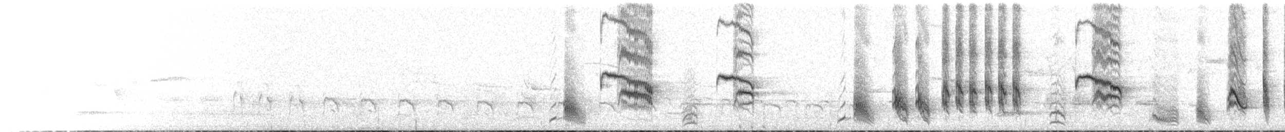 Long-tailed Mockingbird - ML618056745