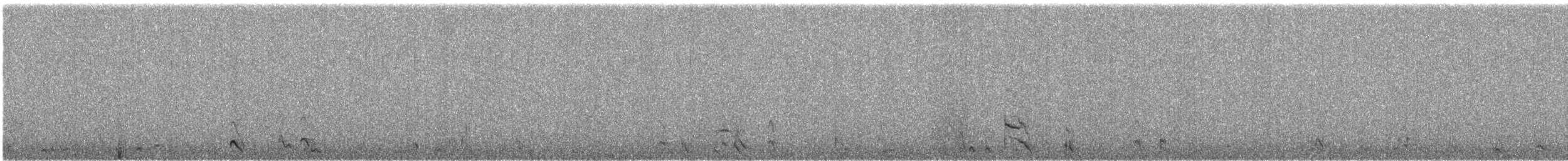 ארנריה אדמונית - ML618057116