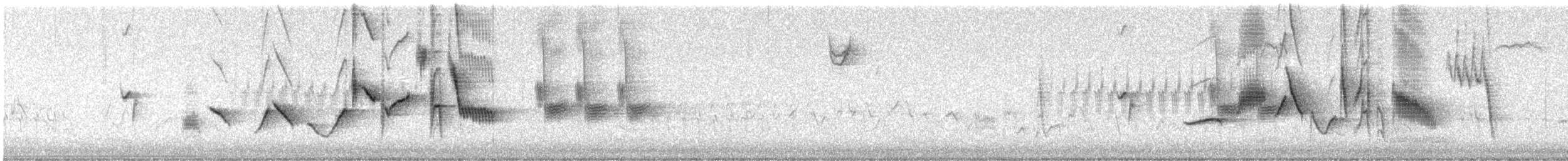 ゴマフスズメ（schistacea グループ） - ML618057380