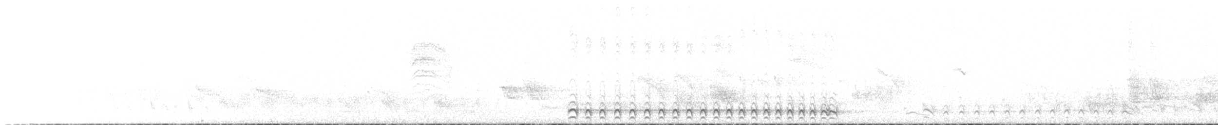 Collared Antshrike - ML618057946