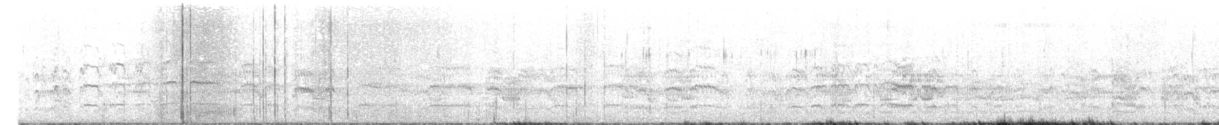 Common Tern - ML618058232