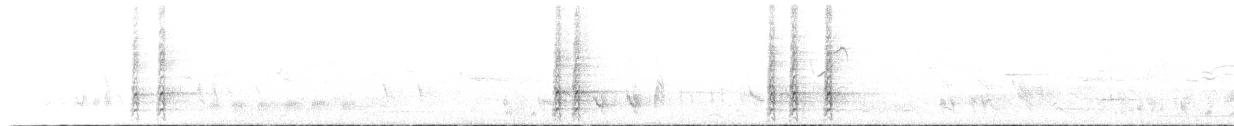 sojka běloocasá - ML618058808