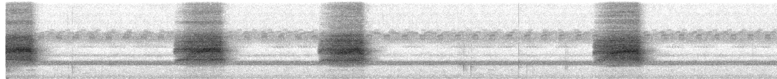 Eastern Barn Owl - ML618058897