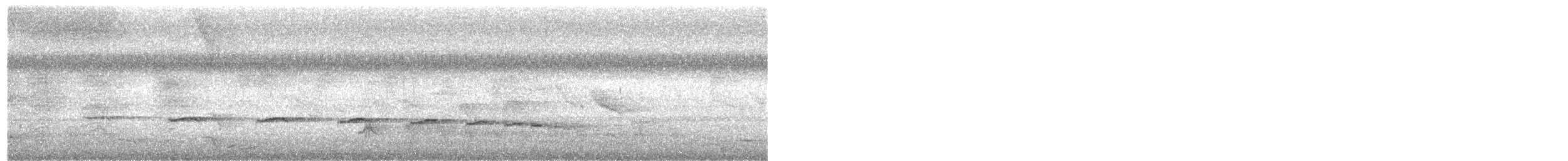 Coucou plaintif - ML618059159