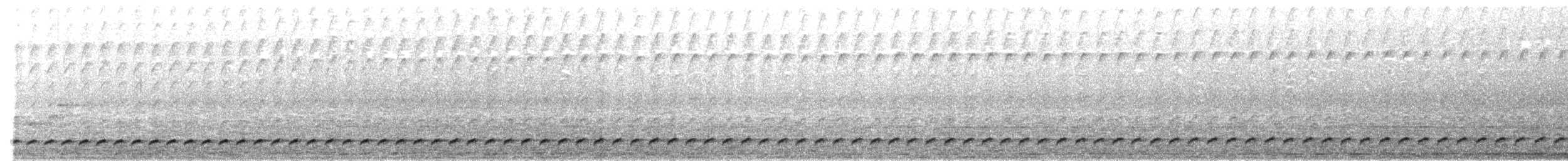 Bindenbrust-Ameisendrossel - ML618061847