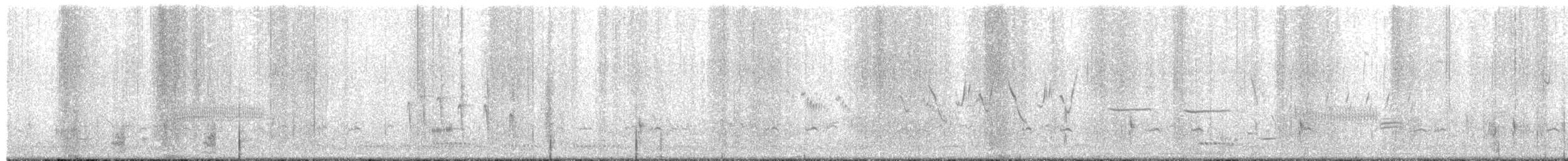 Sarcelle d'hiver (carolinensis) - ML618063988
