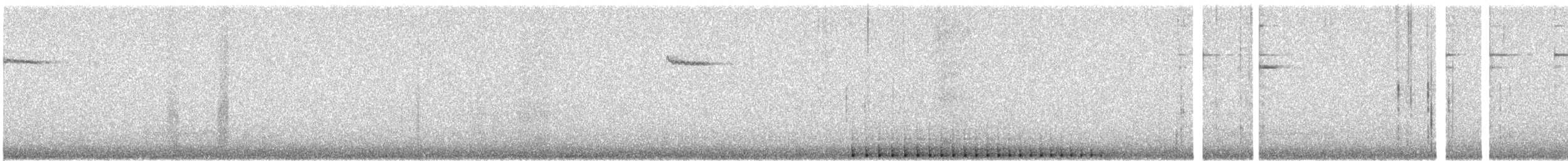 Pileated Woodpecker - ML618066253