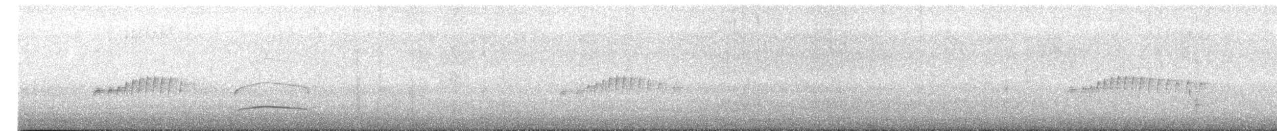 mørkhettetyrann (lawrenceii gr.) - ML618067786