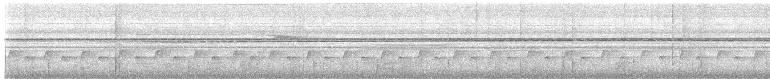 Couturière à queue rousse - ML618071013