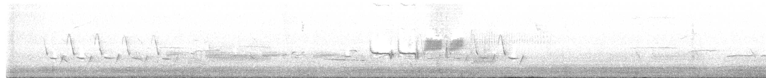 Porsuk Serçesi (leucophrys) - ML618073447