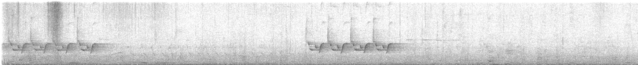 střízlík karolínský [skupina ludovicianus] - ML618074236