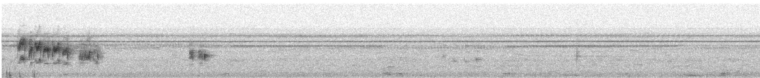 Graubrust-Paradiesschnäpper - ML618075265