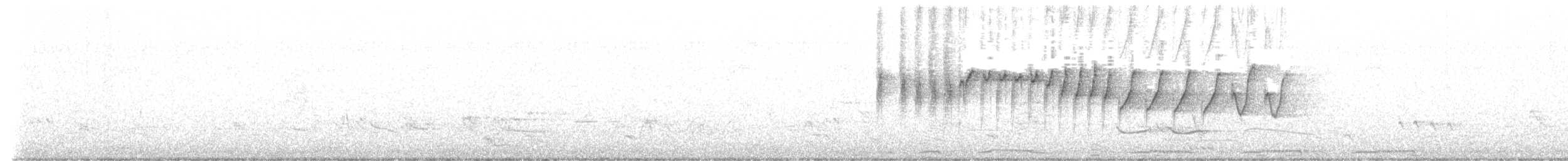 Атласная нектарница - ML618075411