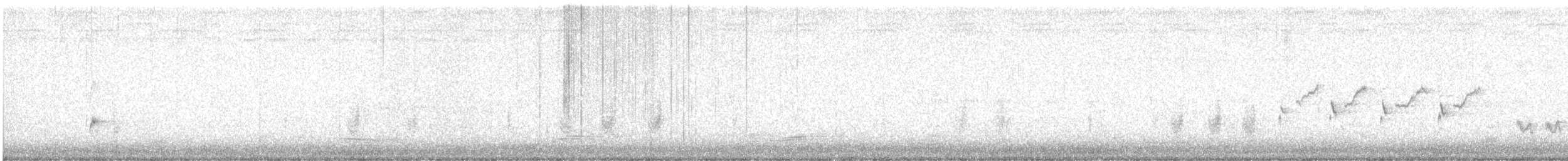 Australian Reed Warbler - ML618076087