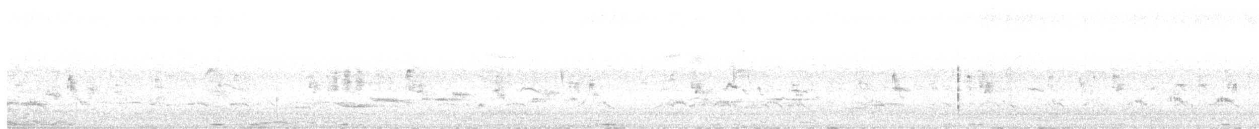 ルリホオハチクイ - ML618076901