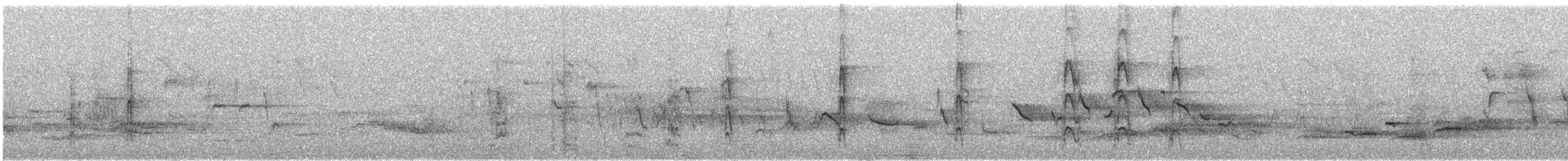 Great Spotted Woodpecker - ML61807721