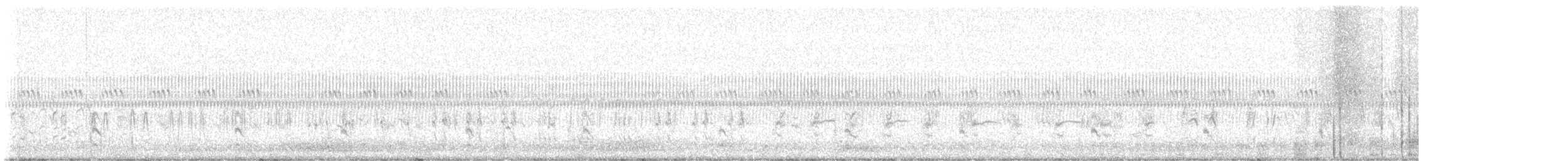 Savi's Warbler - ML618077566