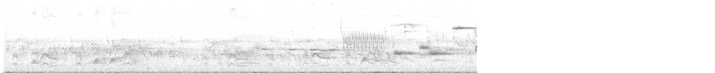 Серогрудый тиранн - ML618078052