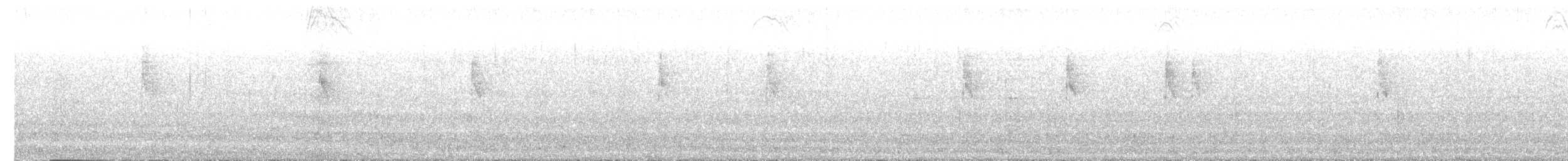 セグロセキレイ - ML618078150