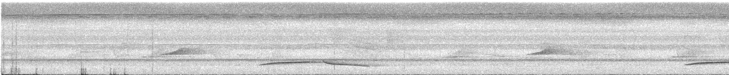 Large Wren-Babbler - ML618081102