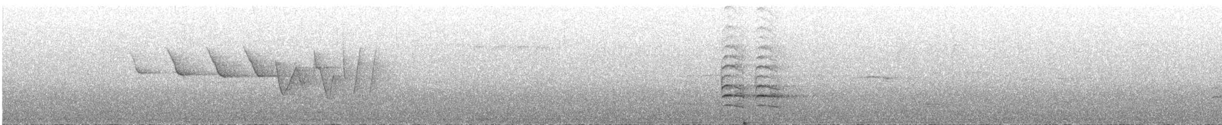 Трясогузковый певун - ML618085134