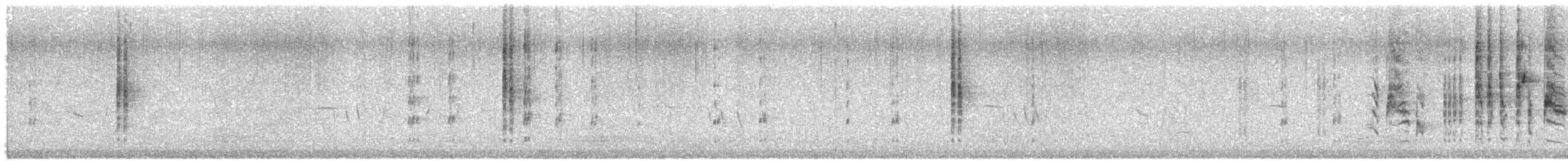 rødsmekkesanger - ML618087298