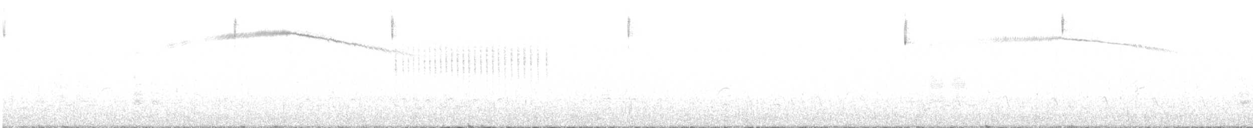Veilchenkopfelfe - ML618087638