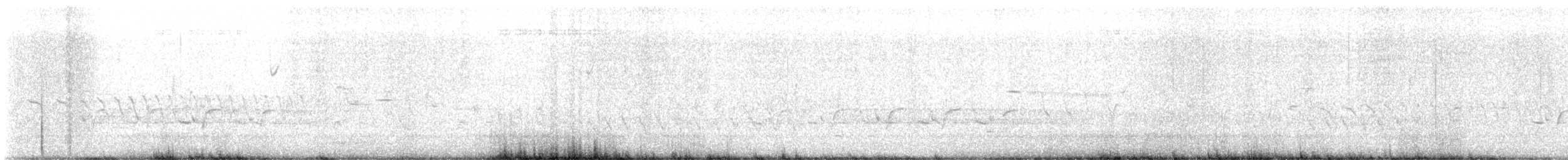 Поплітник каролінський - ML618088338