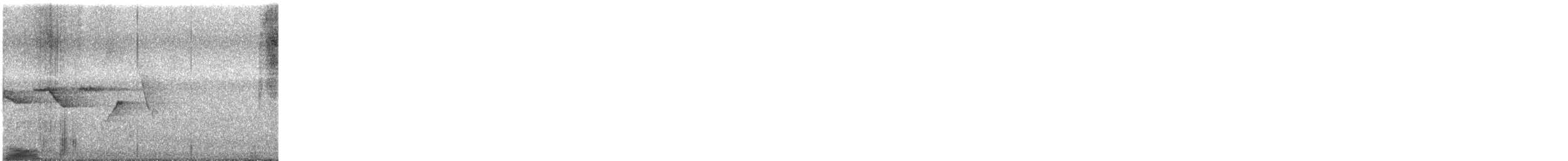 Swainson's Warbler - ML618088795