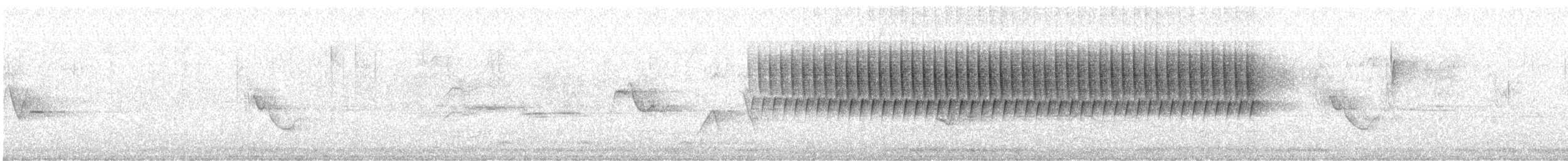 Schwirrammer - ML618090546