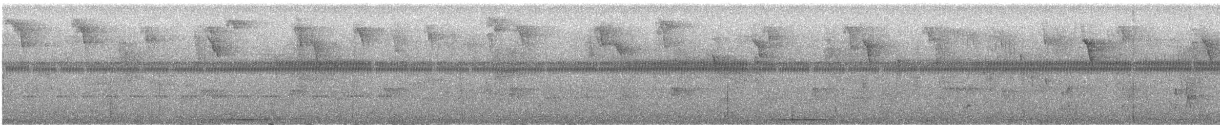 holub bledoprsý - ML618091593