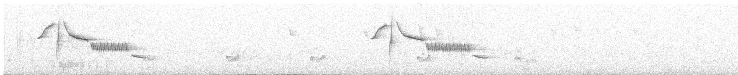 Troglodyte de Bewick - ML618091916