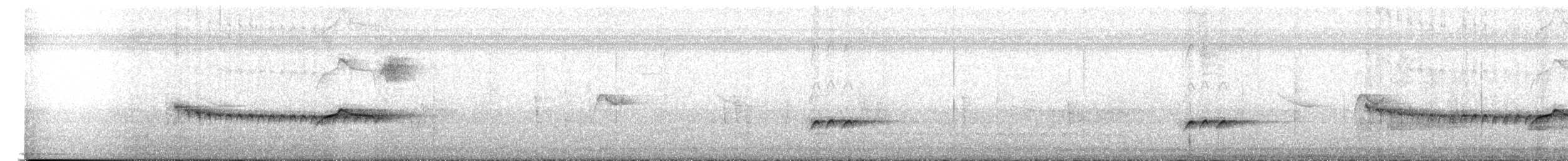 Long-billed Gnatwren (rufiventris Group) - ML618095157