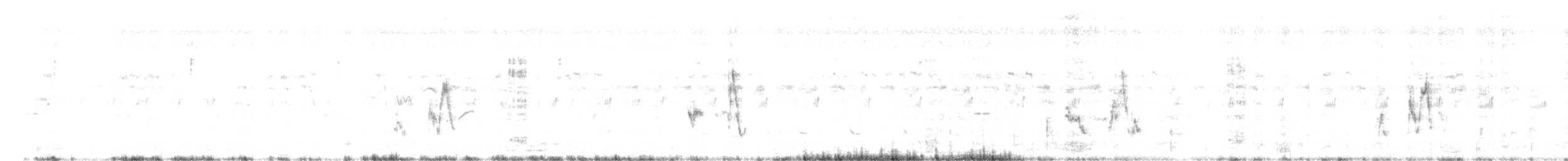 Щетинистая долгохвостка - ML618096778