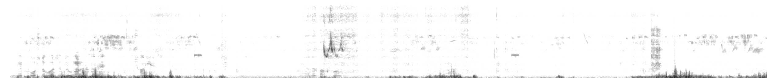 Щетинистая долгохвостка - ML618096811