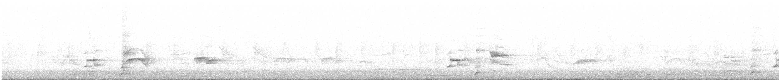 Kara Gerdanlı Hütleyen - ML618097034