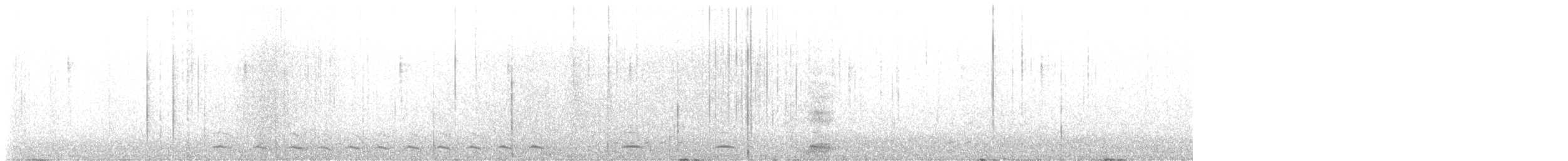 Chevêchette naine (gnoma) - ML618097164
