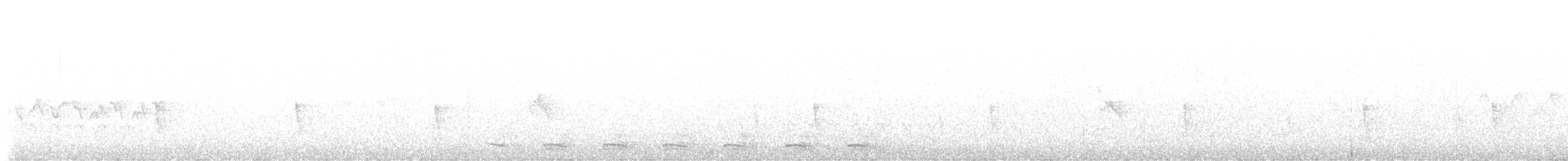 Trogon élégant (groupe ambiguus) - ML618097175