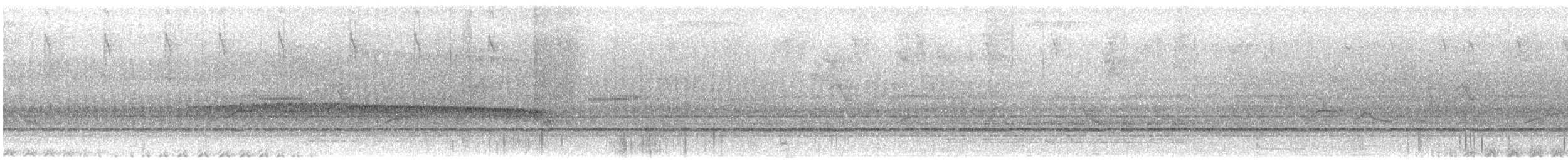 Dreibinden-Ameisenvogel - ML618099134