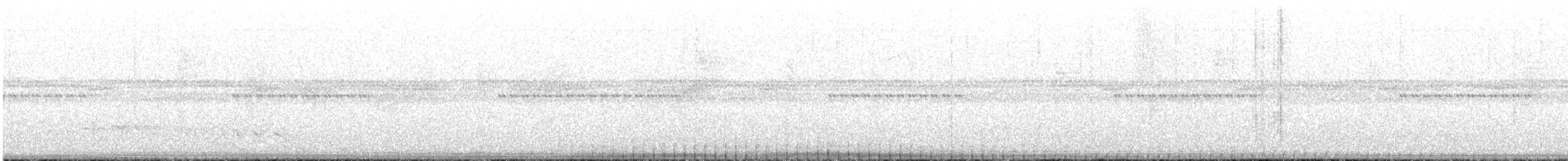 Atlantik Karınca Tiranı - ML618100332