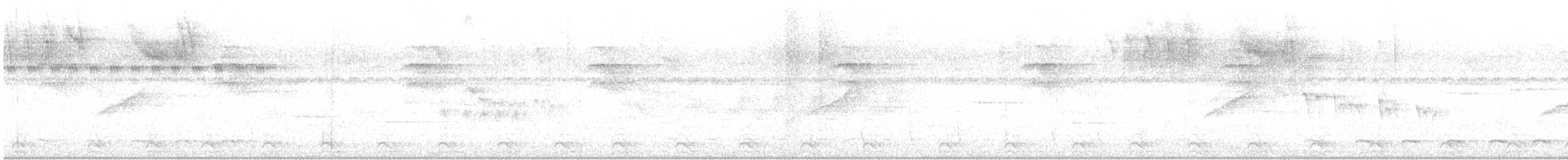 Trogón Violáceo Norteño - ML618102352