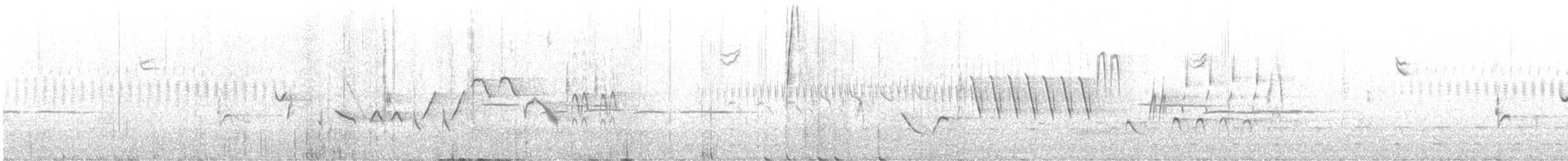 tanımsız Accipiter sp. - ML618108015