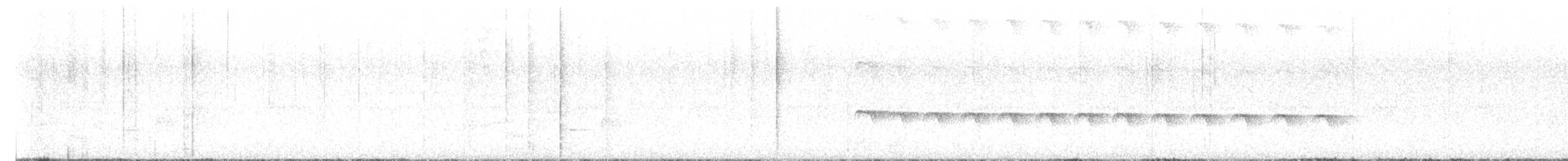Panamáameisenvogel - ML618110102