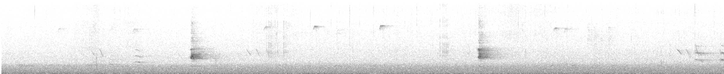 jestřáb americký x nearktický (hybrid) - ML618110522