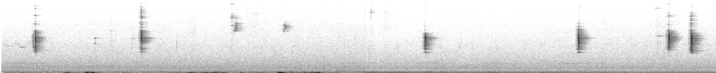 Yellow-rumped Warbler - ML618111612