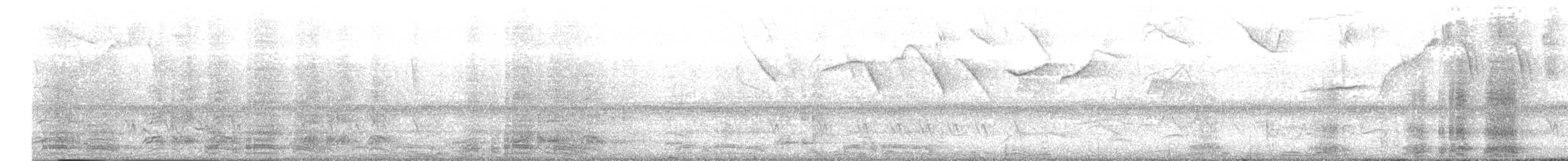 Краснохвостая чачалака - ML618112187