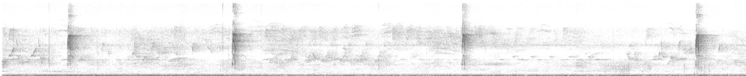 strakapoud proužkohřbetý - ML618113018